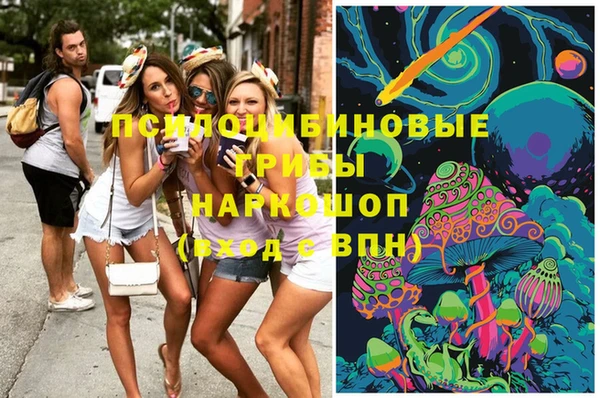 PSILOCYBIN Верхнеуральск