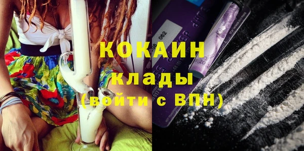 гашик Верея