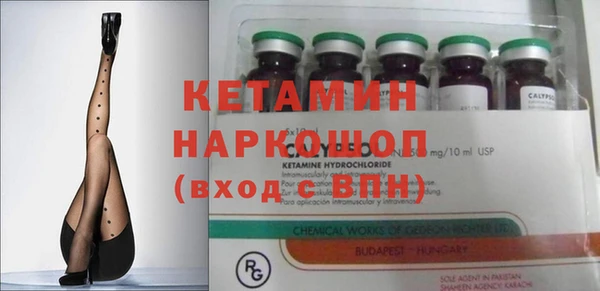гашик Верея