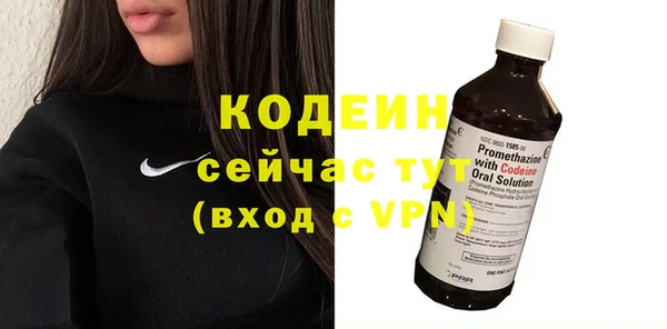 гашик Верея