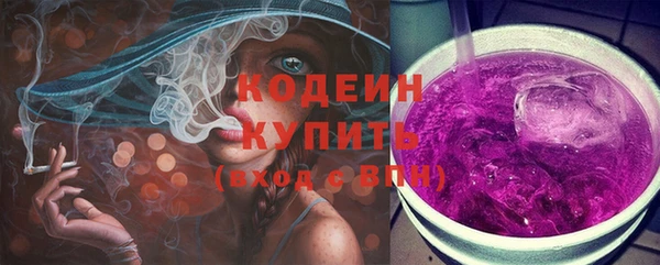 гашик Верея