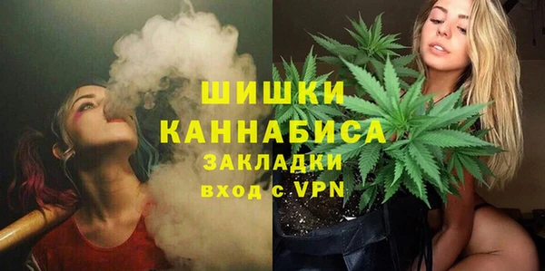 гашик Верея
