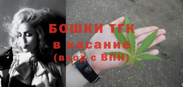 гашик Верея